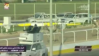 ملخص أشواط الثنايا العامة بالمحلي الثامن ٦-٣-٢٠٢٠