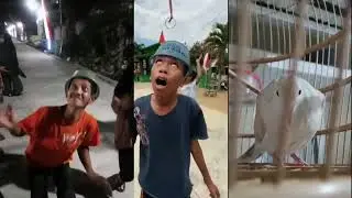 empuk jeru kiw kiw cukurukuk 1 jam (relaxing)