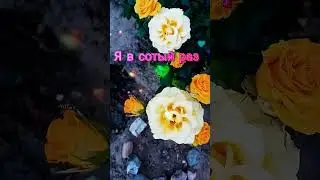 Для тебя! #длятебя#shortsvideo#открытка#музыкальноепожелание#love#люблю#длядуши#тебе
