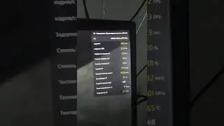 24 июля 2024 г.