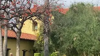 Mission San Fernando (Bells)