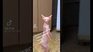 То чувство когда тебя снимают сзади)
