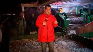 muhabir balık avı
