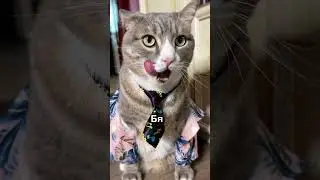 Милый питомец  #Милыйпитомец