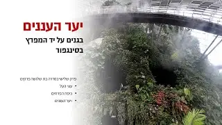 גנים על יד המפרץ בסינגפור - פרק יער העננים