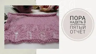 СП Пора надеть 3//Пятый отчет