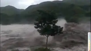 #kupang#flores#Ntb#Ntt NTT BREDUKA AKIBAT SIKLUS SEROJA ( PRAY FOR NTT ) 2021