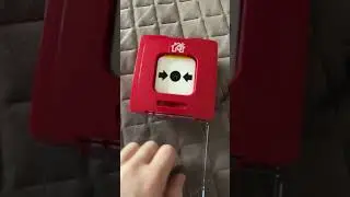 ИПР 10
