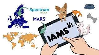 IAMS - History video