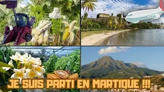 Mon voyage en Martinique (la vue était incroyable 🤩)