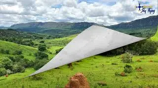 BICHINHO - município de   PRADOS  (MG)
