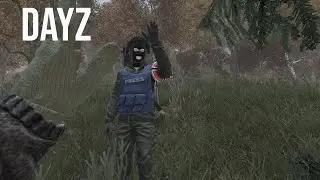 Dayz - Бегаем, лутаемся (Стрим 22.11)