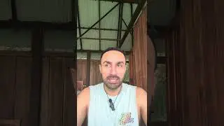 My first Ayahuasca ceremony experience I thought I was going to die and go insane at the same time.