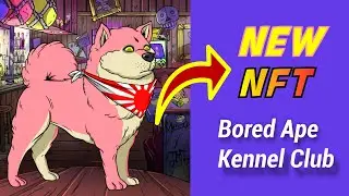 NEW NFT COLLECTION IN OPENSEA - Bored Ape Kennel Club 
