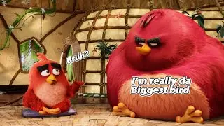 Who is really the biggest bird? #edit  #birds  #biggest  #vs #angrybirds