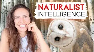 Naturalist Intelligence - What is 