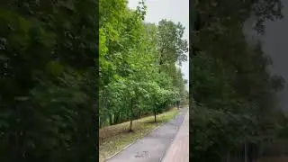 Вот это поворот 😮