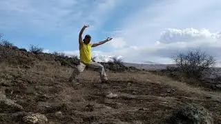 Վիշապ - Հորմոնալ մարզանք - Ցիգուն