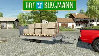 LS22 Hof Bergmann #161 - Tolle Wolle