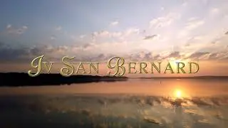 Iv San Bernard
