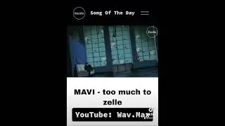 MAVI - too much to zelle [Anime Visualizer]