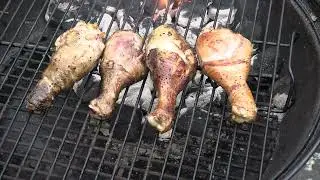 seasoned lemon chicken legs