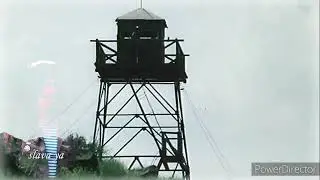 Наши погранцы/Погранцы/день Пограничника