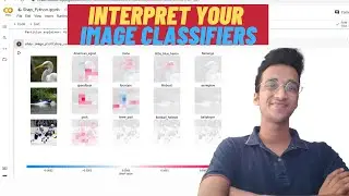 Interpret & Visualize Your Image Classification Models| Python Tutorial|