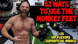 Strengthening Exercise for the HIP FLEXORS | 52 Ways to Use the MONKEY FEET: Rectus Femoris Muscle