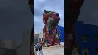 Всем, кто любит цветы и …СОБАК😄