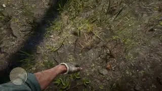 RDR2 Wacky Ground Monster