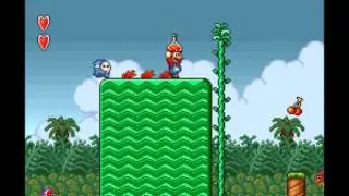 Super Mario USA - Warp Into Cave