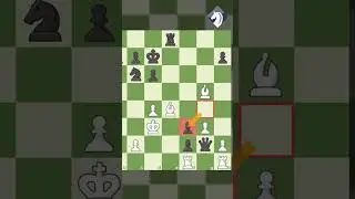 Craziest Game you will ever see 