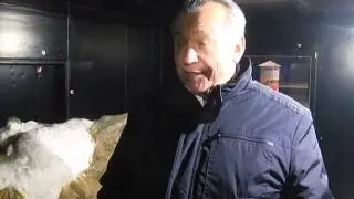 Природа Зауралья будет представлена в фотографиях на «Первозданной России»
