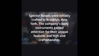 Me and my Bass - Spector Trivia in 30 seconds part 2