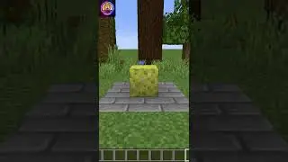 Minecraft OLD VS NEW TEXTURES #shorts