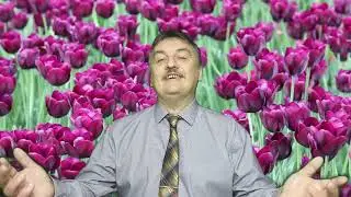 Сергей Васильев - 8 марта