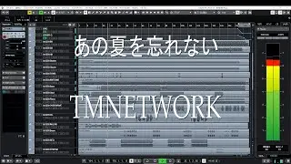 TMNETWORK あの夏を忘れないinst