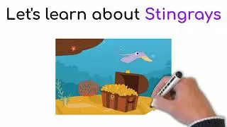 Let's Learn about Stingrays in English #stingray #stingrays