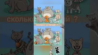 найди #ОТЛИЧИЯ