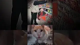 Get Ready to Laugh 6 😂 😆#shorts #youtubeshorts  #memes #viral