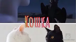 Клип 