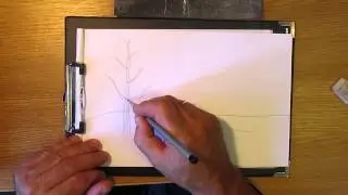 Как рисовать берёзу. Часть 1. Урок 9