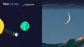 Phases of the Moon