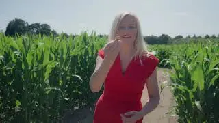 Financial Education Doesn't Have To Be A MAZE of confusion! MoneyMagpie and FSCS.