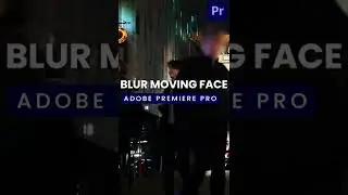 Blur Moving Face in Adobe Premiere pro