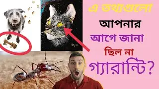 ৮টি অবাক করা তথ্য।8 surprising facts...