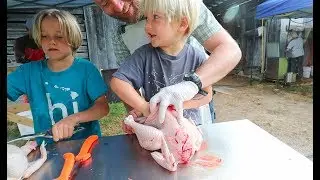 The Day we Butchered 100 Chickens
