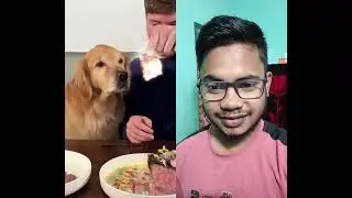 10$ Stack vs 10000$ stack challenge with dog || Mr Beast || 