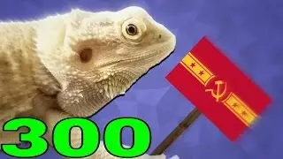 300 subscriber special